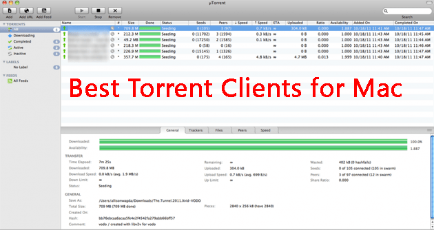 Best torrent app video editing software
